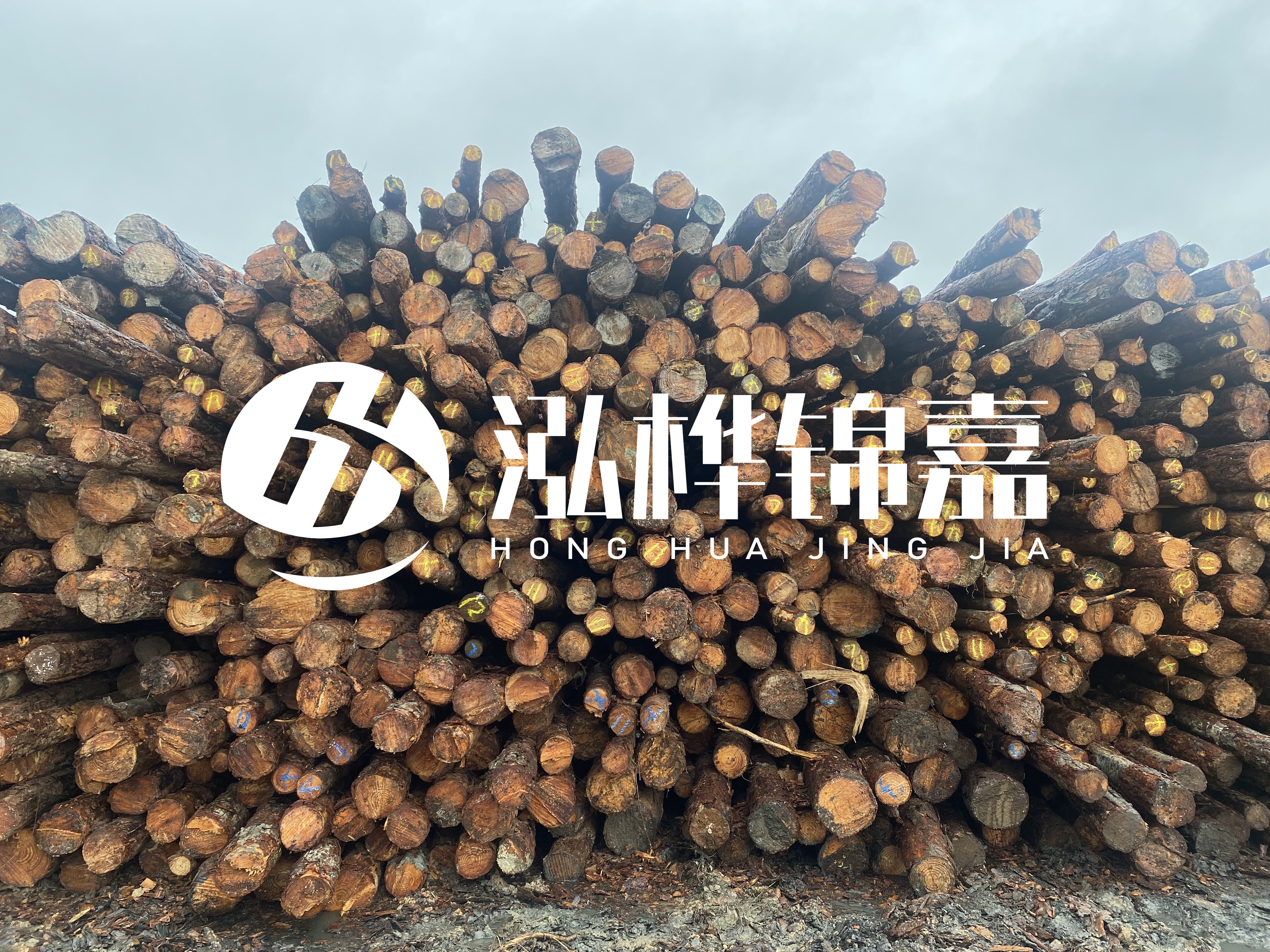 松木樁的直徑一般取多少？