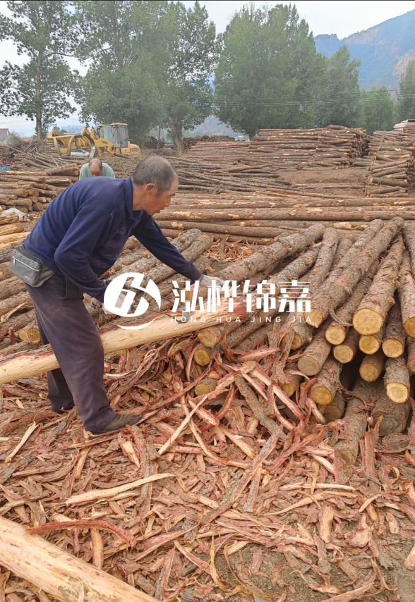 東營(yíng)河道清淤專業(yè)施工隊(duì)-不同型號(hào)挖機(jī)清淤能力對(duì)比?