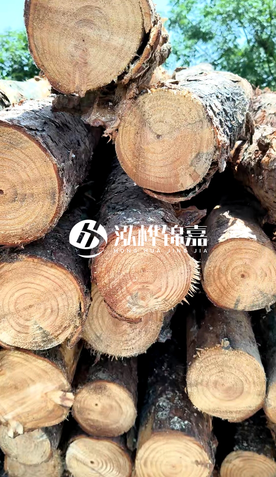 周口挖機打木樁專業施工-杉木樁施工打樁怎么打?