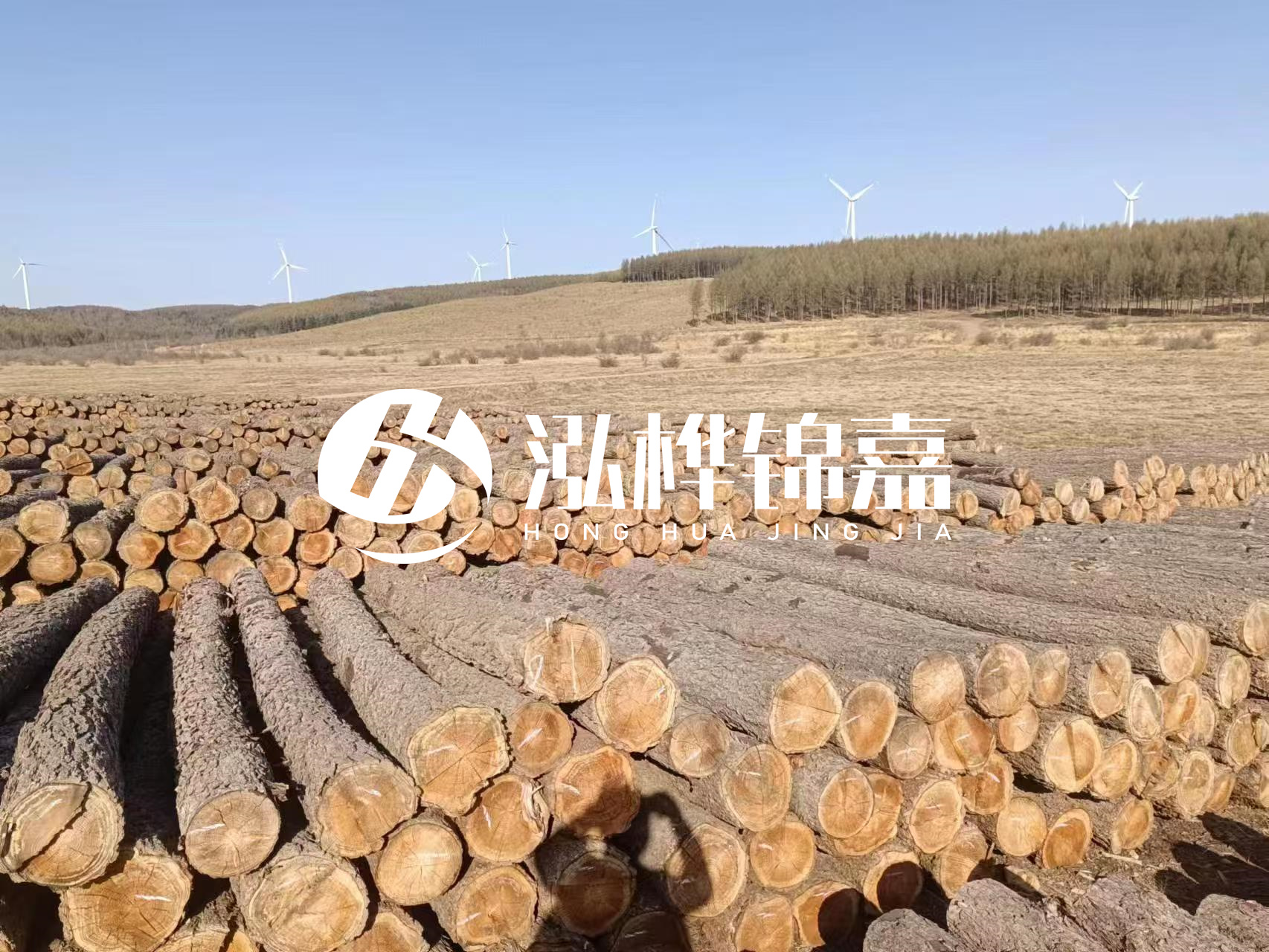 咸寧松木樁源頭廠家-哪里能買到質量好的松木樁打樁木？