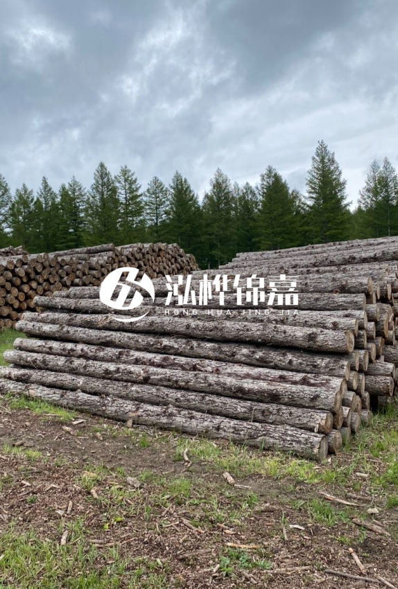 長(zhǎng)沙松木樁源頭廠家-如何甄別松木樁打樁木的質(zhì)量好壞?