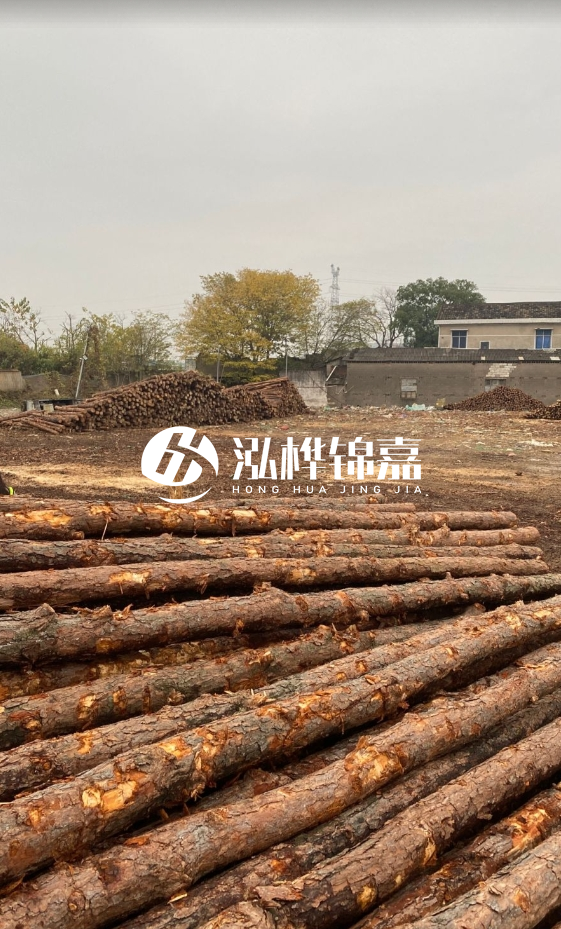 欽州松木樁源頭廠家-松木樁河道治理相比其他材料有何優(yōu)勢(shì)?