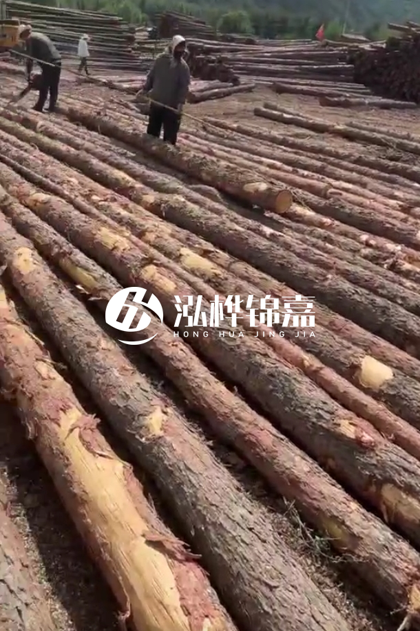 海口松木樁源頭廠家-松木樁最長(zhǎng)可以做多少米?