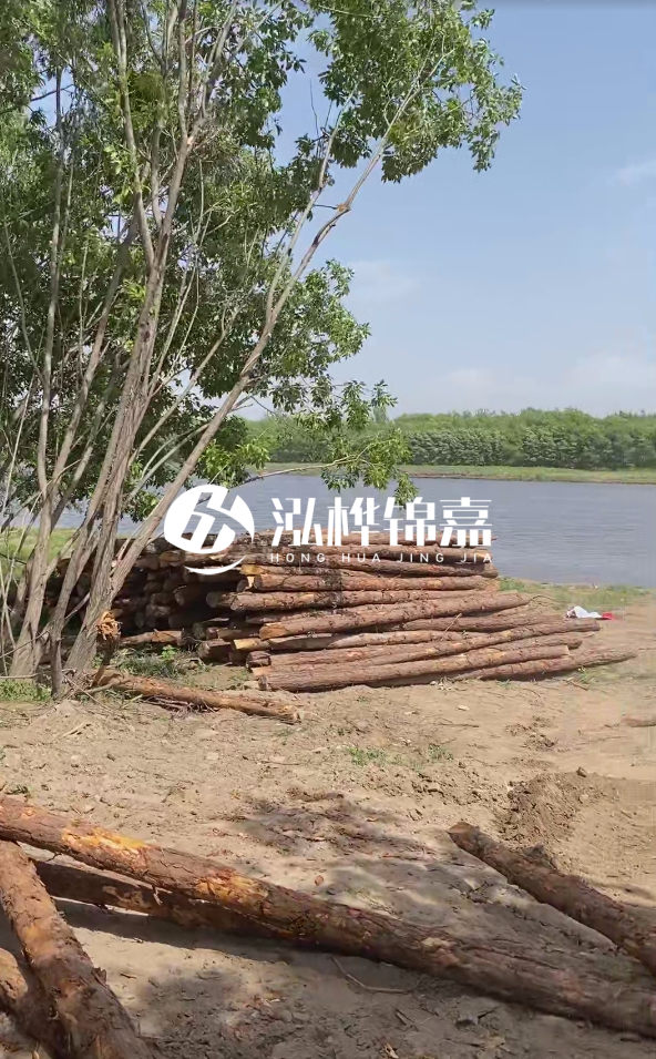 慶陽(yáng)挖機(jī)打木樁專(zhuān)業(yè)施工-松木打樁過(guò)程中如何避免木材開(kāi)裂?