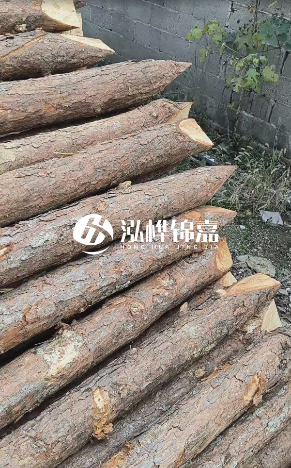 松木樁哪里能大量供應？4米20公分松木樁價格是多少？