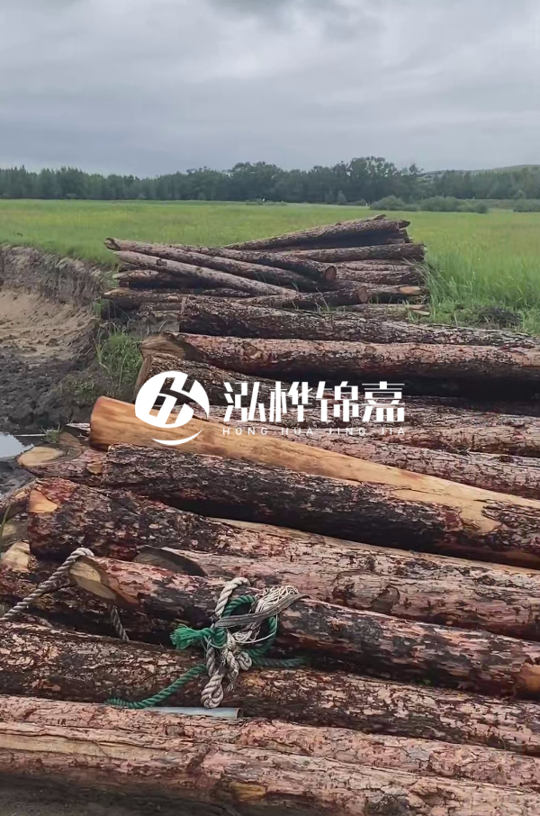 打樁木樁的選購標準是什么?材質、尺寸與強度,哪些標準不能忽視?