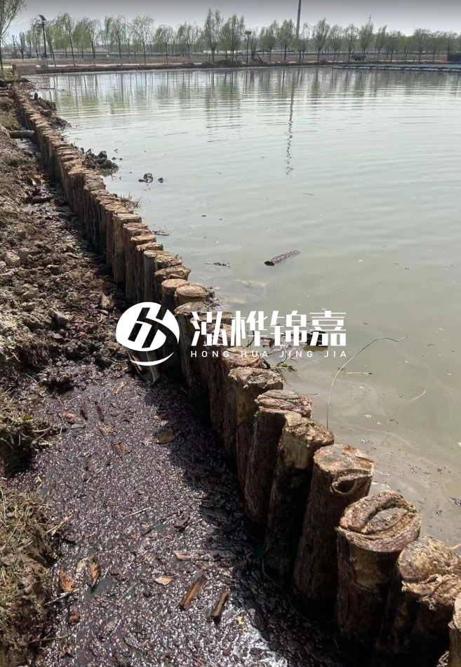 長沙松木樁批發市場在哪?廠家地址是多少?