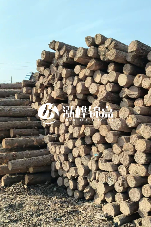 國內哪里的松木樁便宜又好？五大高性價比產地推薦