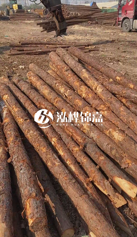 7米松木樁8一12公分價格？直徑15公分松木樁多少錢？