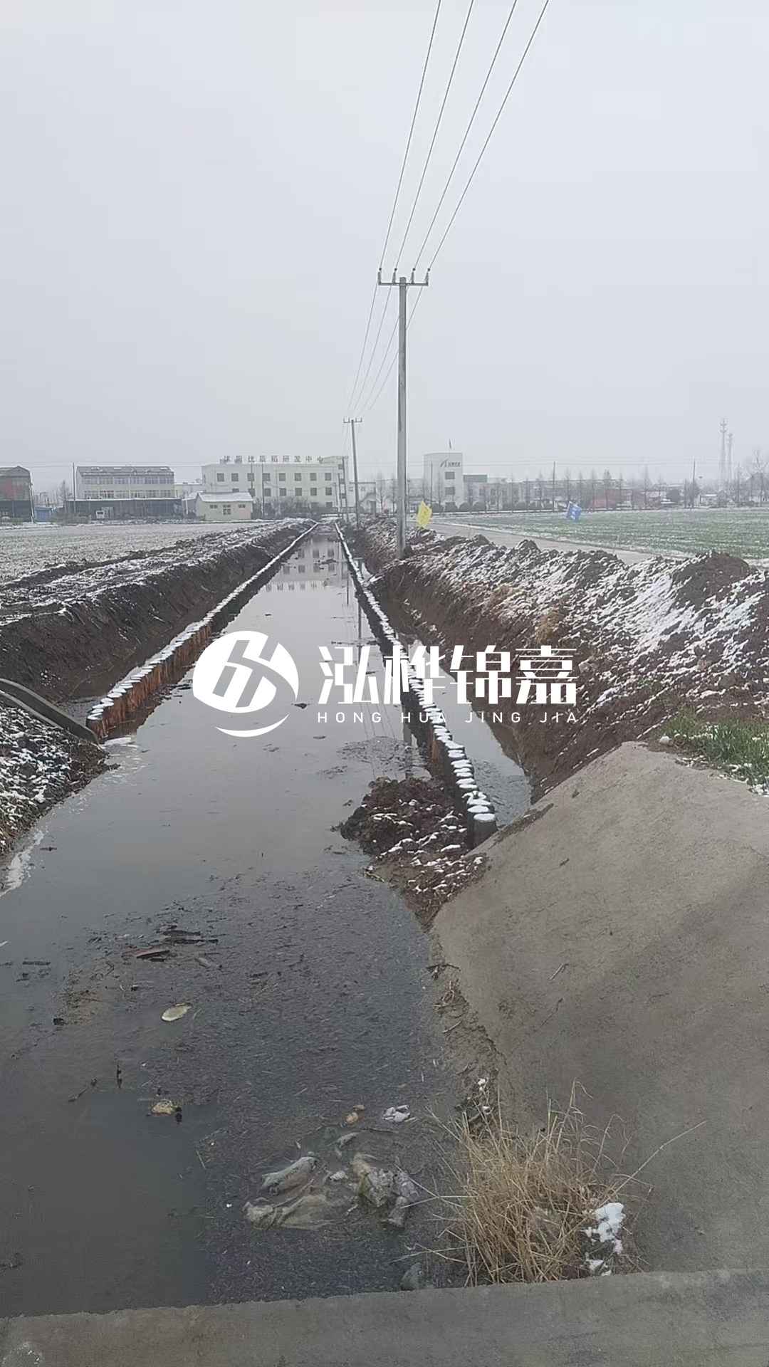 4米松木樁和杉木樁價格相差多少？哪個更便宜？