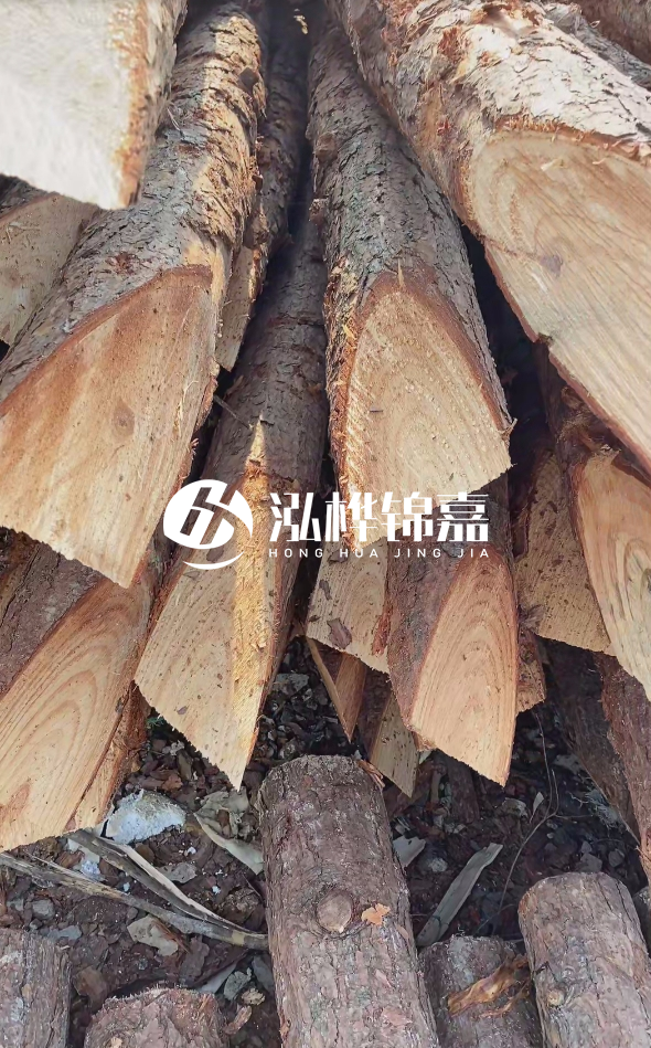 3米杉木樁梢頭12大頭多少？賣多少錢一根？