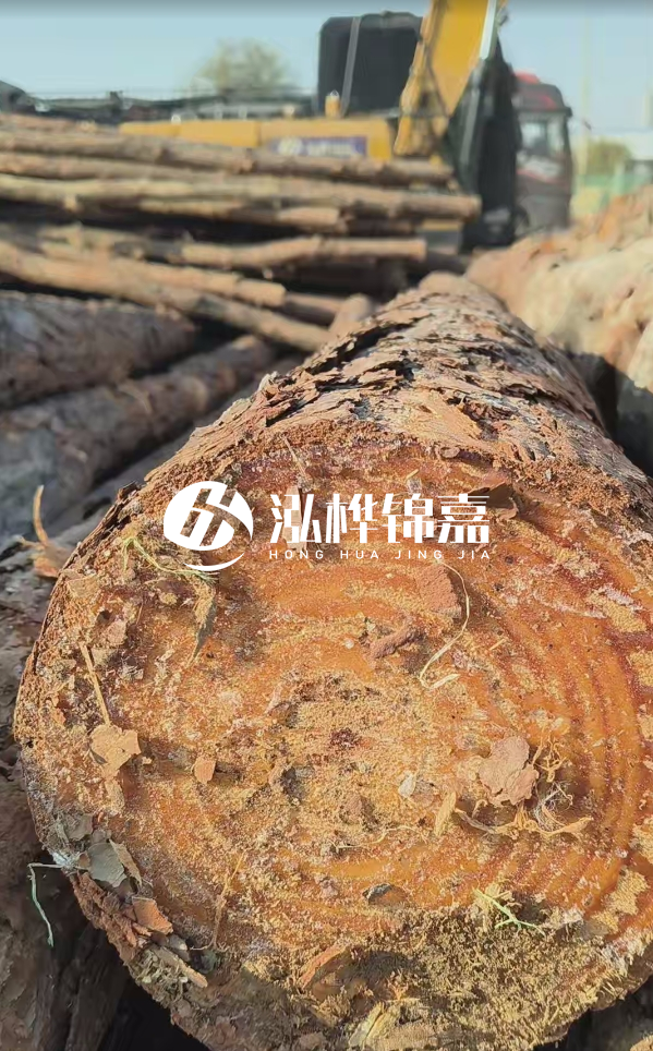 杉木樁價(jià)格多少錢一方-3米直徑14公分杉木樁價(jià)格?