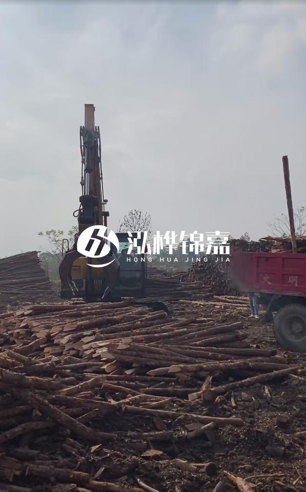 6米打樁木多少錢一根-6米10-15公分價(jià)格是多少?