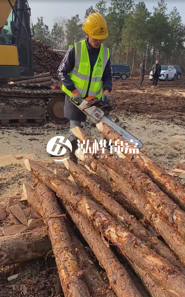 松木樁樁長(zhǎng)1.5米稍徑12多少錢一根?樁長(zhǎng)1.5米稍徑12大頭多少?