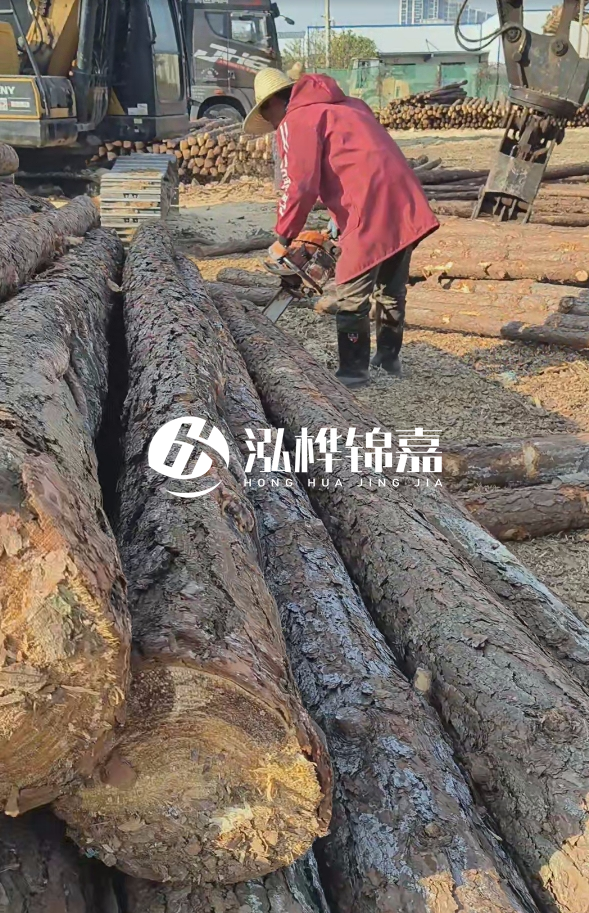 長(zhǎng)沙打樁木批發(fā)廠家在哪里?聯(lián)系方式是什么?