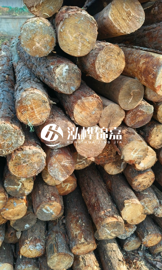 油松3米12公分多少錢一根？油松4米12公分多少錢一根？