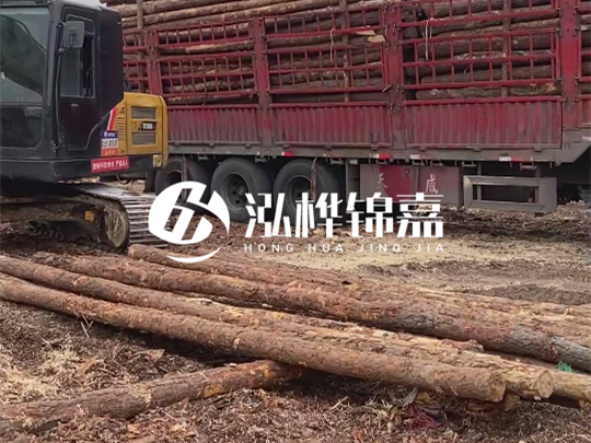 江西2米10-12松木樁多少錢一根？10-15公分價格又是多少？