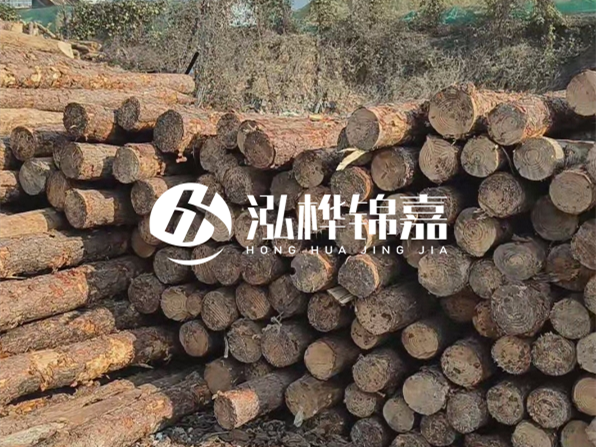 落葉松木材的主要產地在哪里？為什么比其他松木更耐腐蝕？