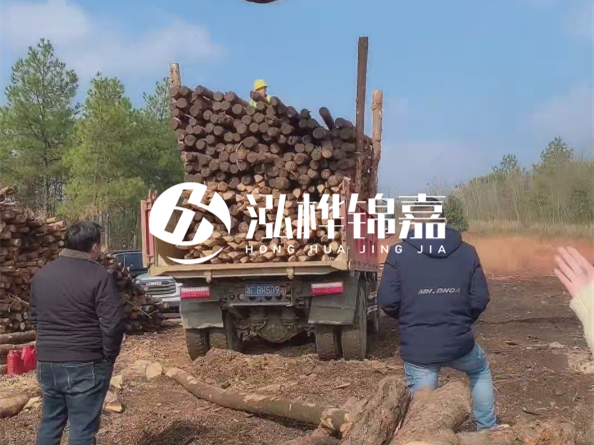 防腐木樁價格比普通木樁貴多少？防腐木樁有哪些處理方式？