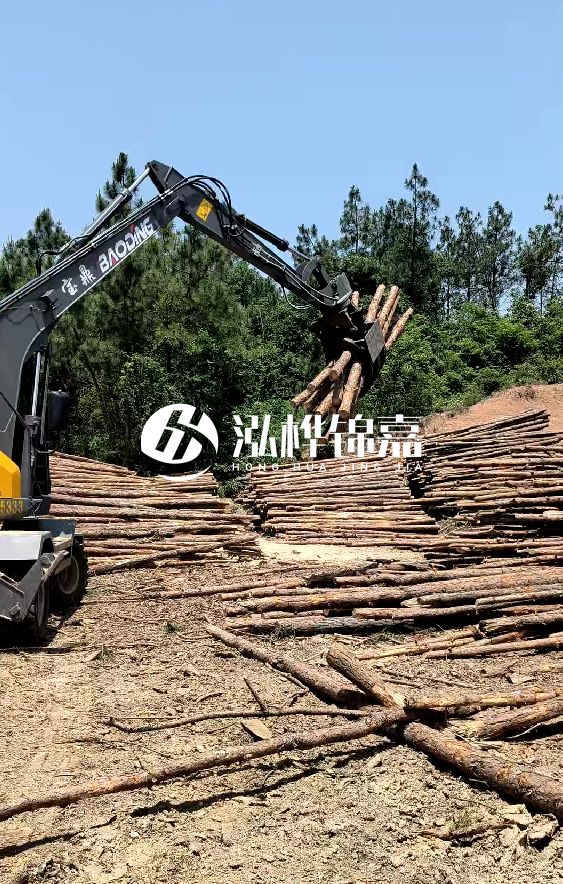 云南4米松木樁批發價格多少-4米小頭13-15直徑多少錢一根?