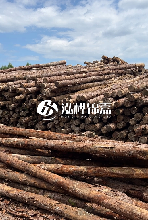 松木打樁木的價格波動受哪些因素影響?杉木樁能代替松木樁嗎?