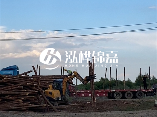 河北打樁木源頭廠家泓樺錦嘉 - 北方常用打樁木是什么？
