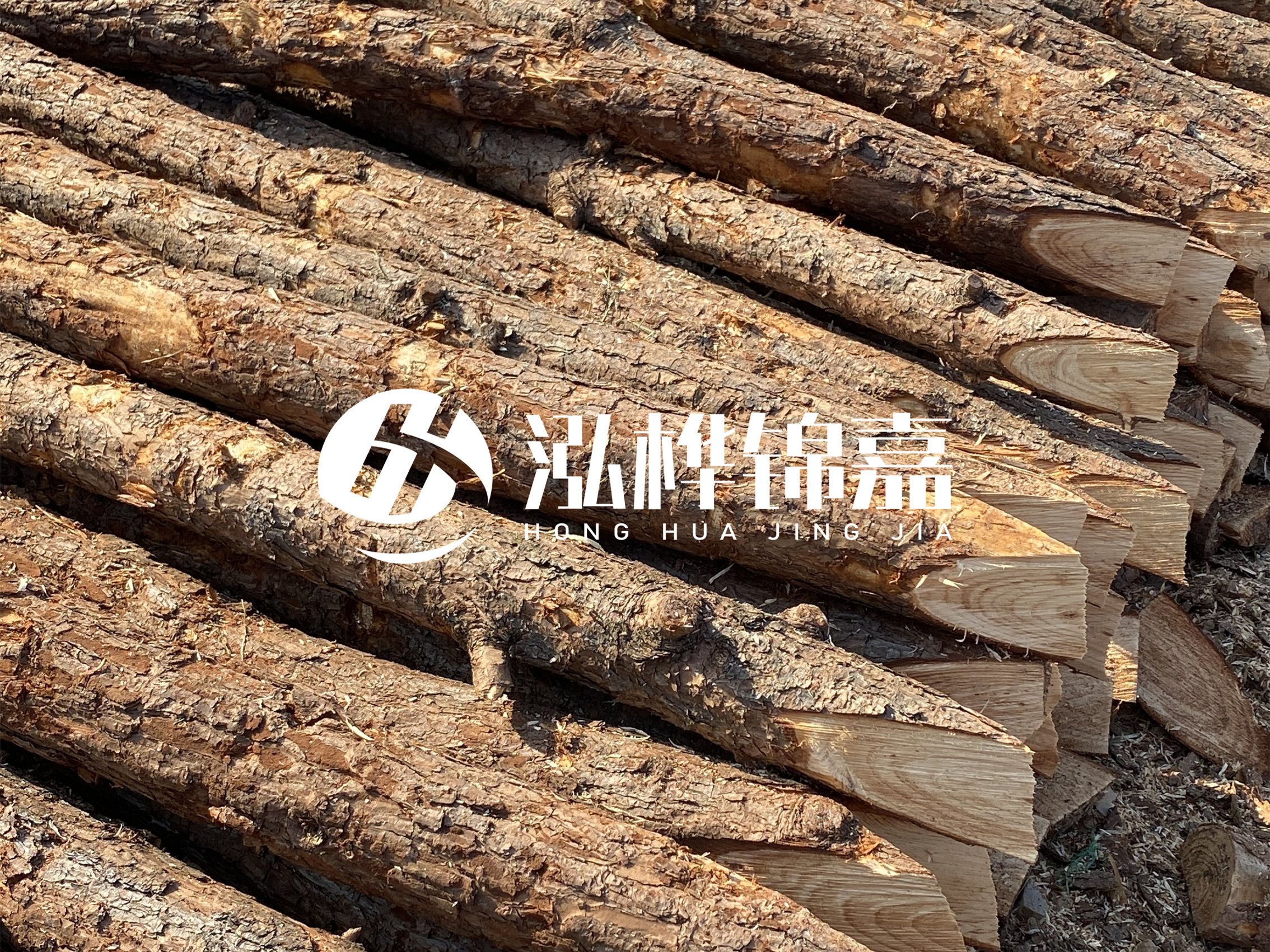 8 米超大直徑松木樁的價格是多少?帶皮和去皮松木樁價格差多少?