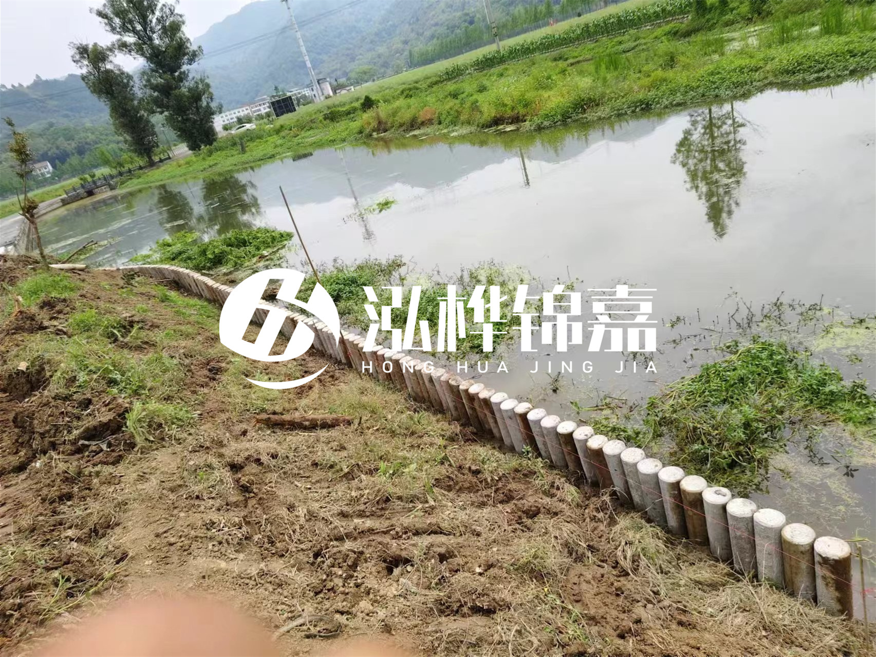 松木樁加固河道與水泥樁對比如何?哪一種更加適合您?