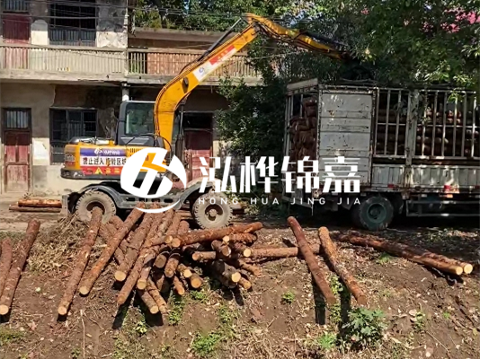 怎么把松木樁打到土里？松木樁要打進去多深？