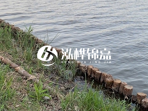 防洪松木樁施工重要性？河道打木樁的位置怎么確定？