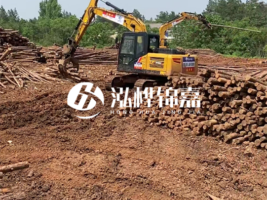 河道松木樁廠家聯系方式-6米10-15公分價格是多少？