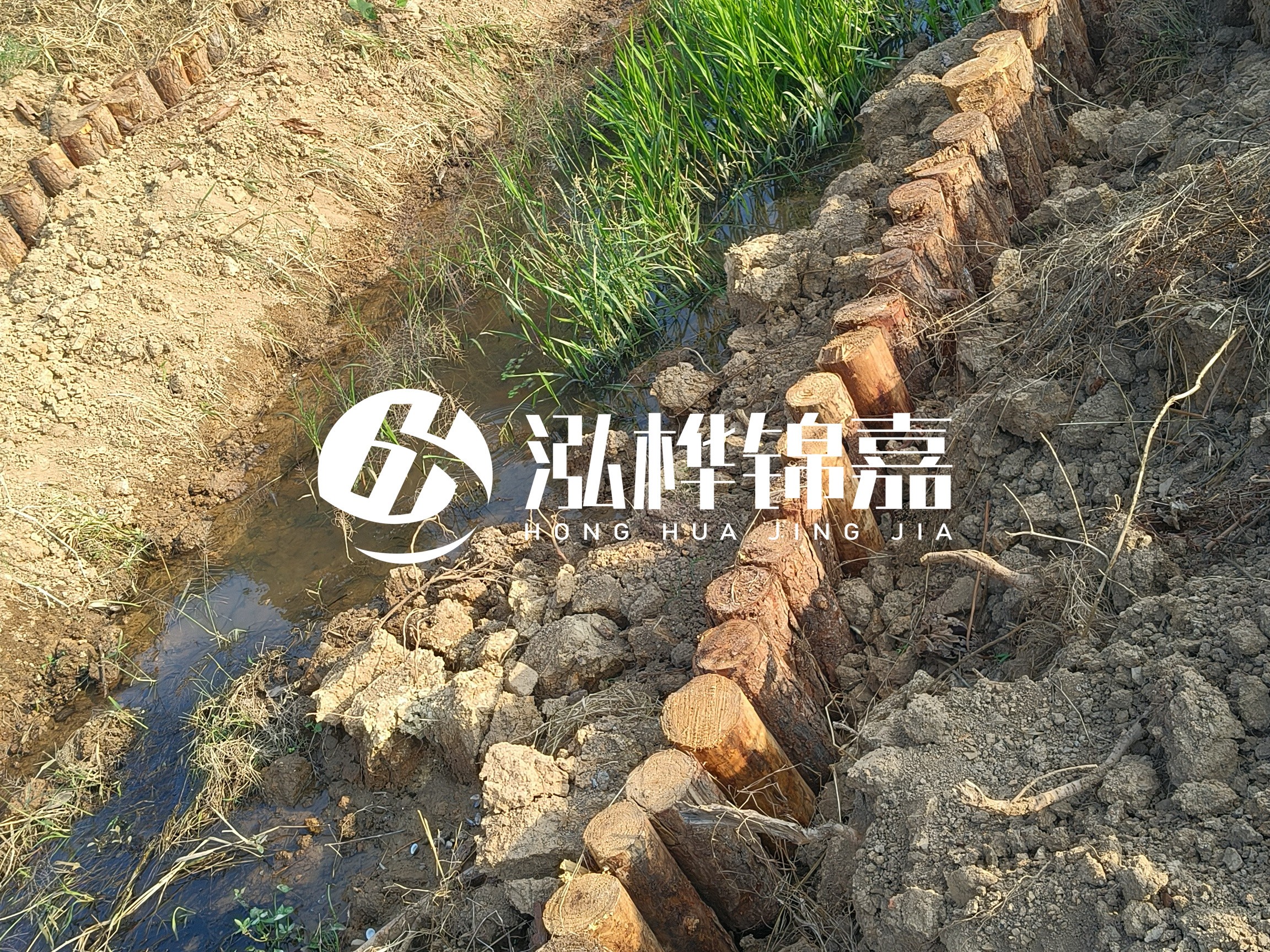 松木樁批發廠家泓樺錦嘉-樁間距指的是什么間距?