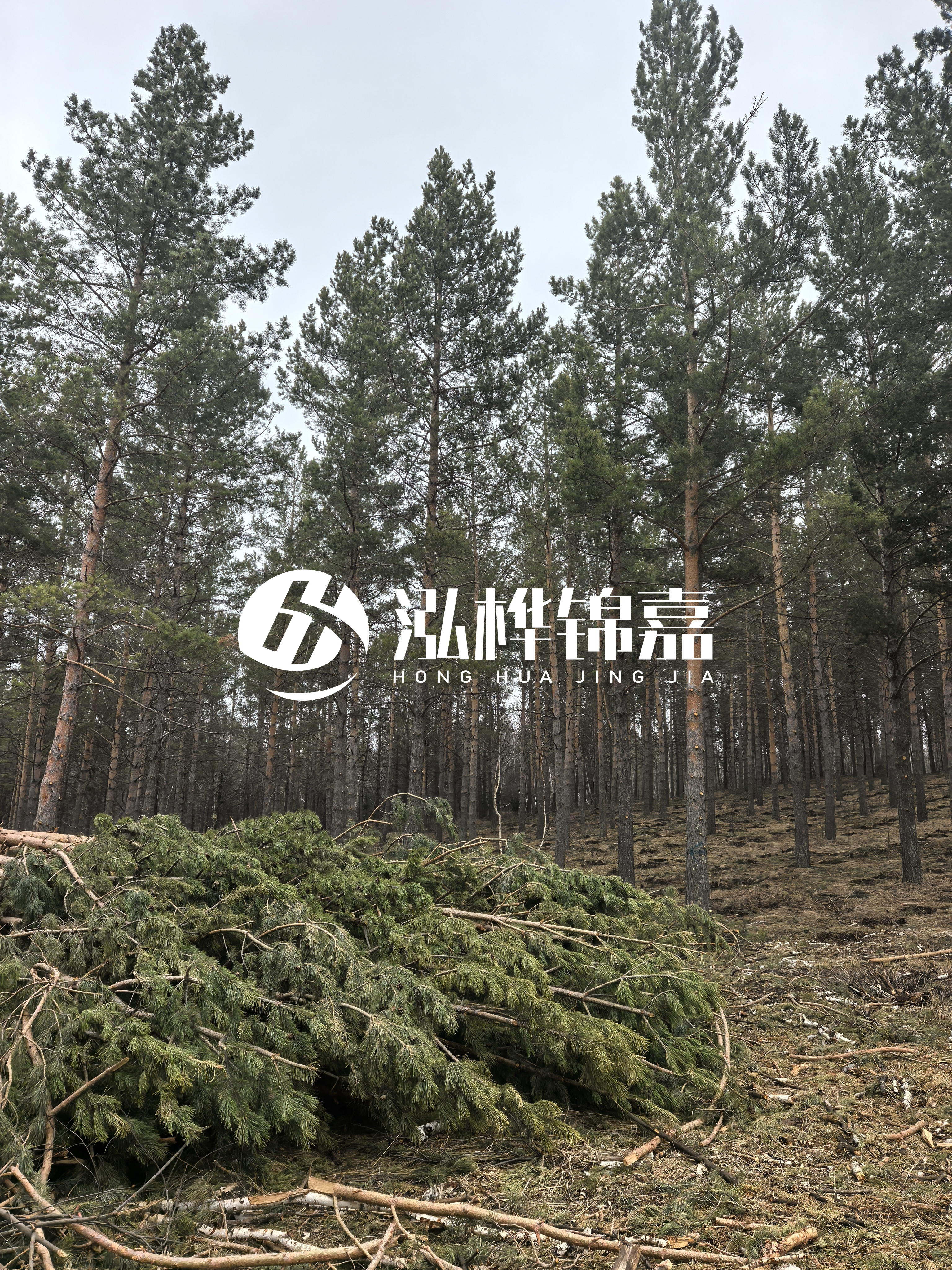 松木樁施工隊泓樺錦嘉 - 河道打樁木能在水里使用多少年？