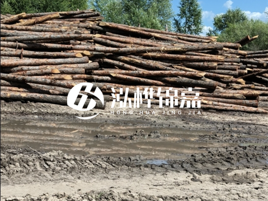 松木樁施工隊泓樺錦嘉 - 木頭打樁護岸能用多長時間？